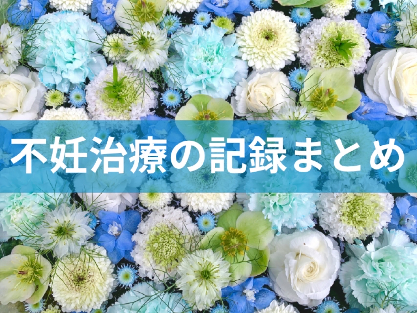 不妊治療の記録まとめ