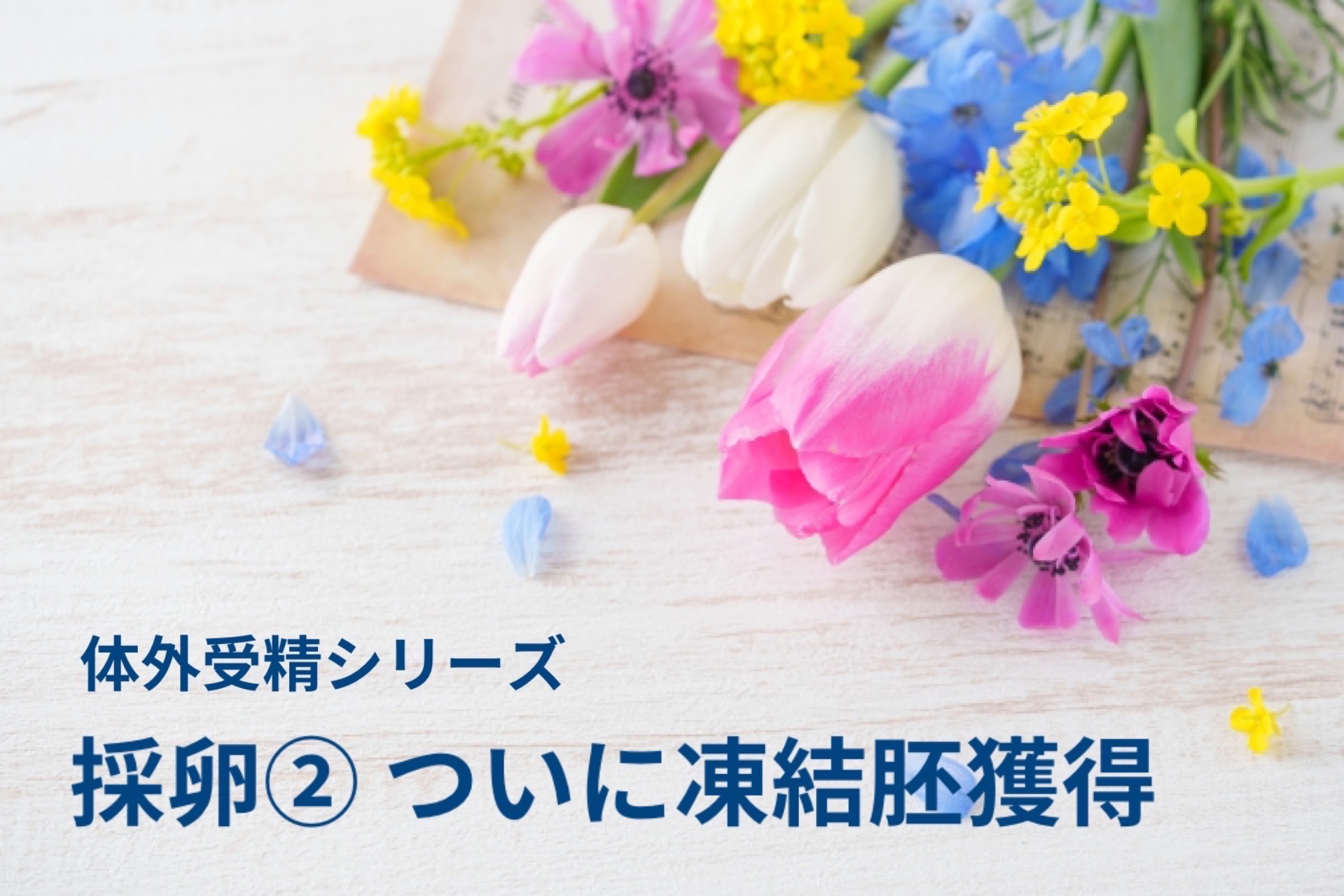 採卵②の記録｜凍結1個、やっと進めた体外受精