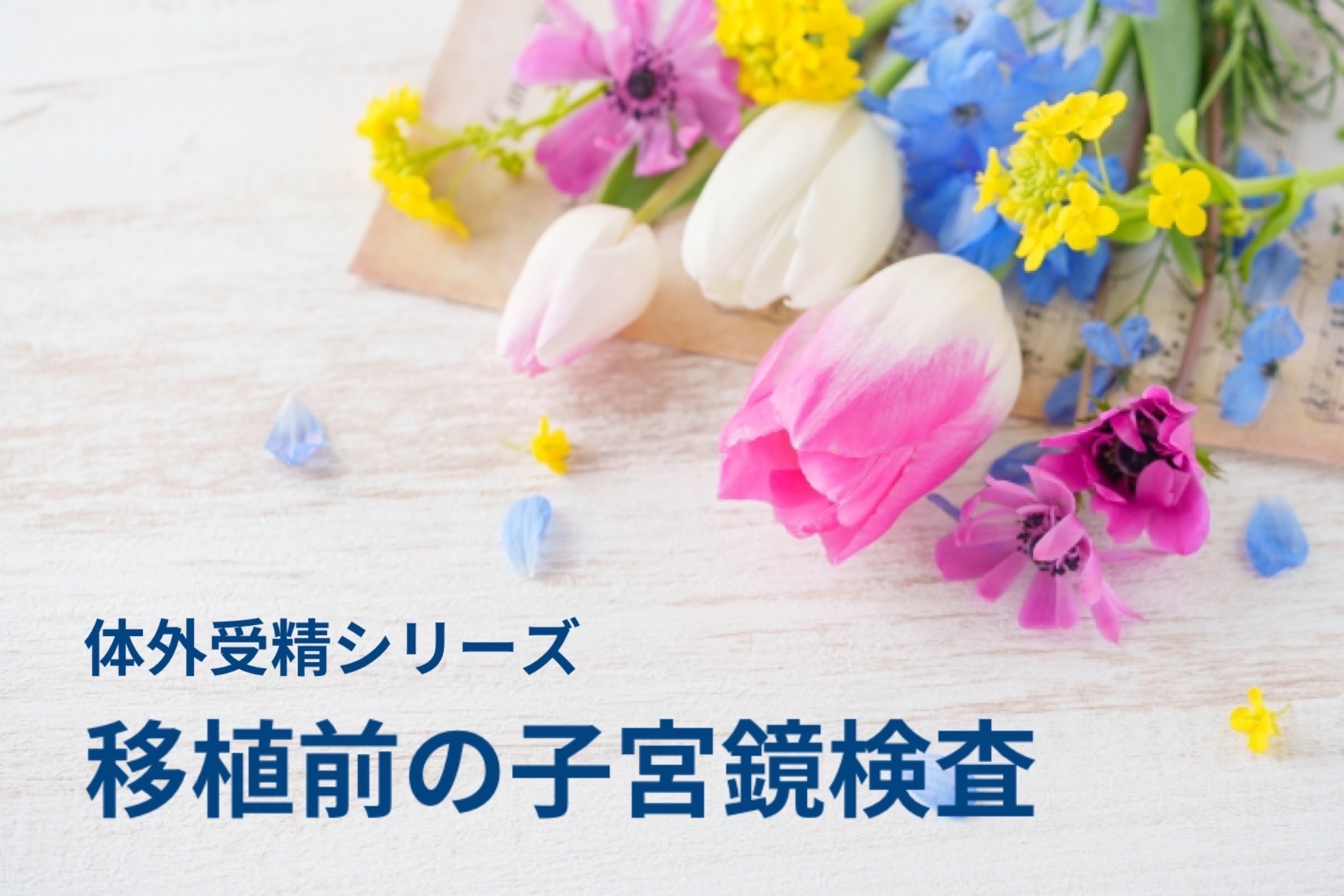 移植前の子宮鏡検査でポリープ発見…移植が延期になった話【体外受精】