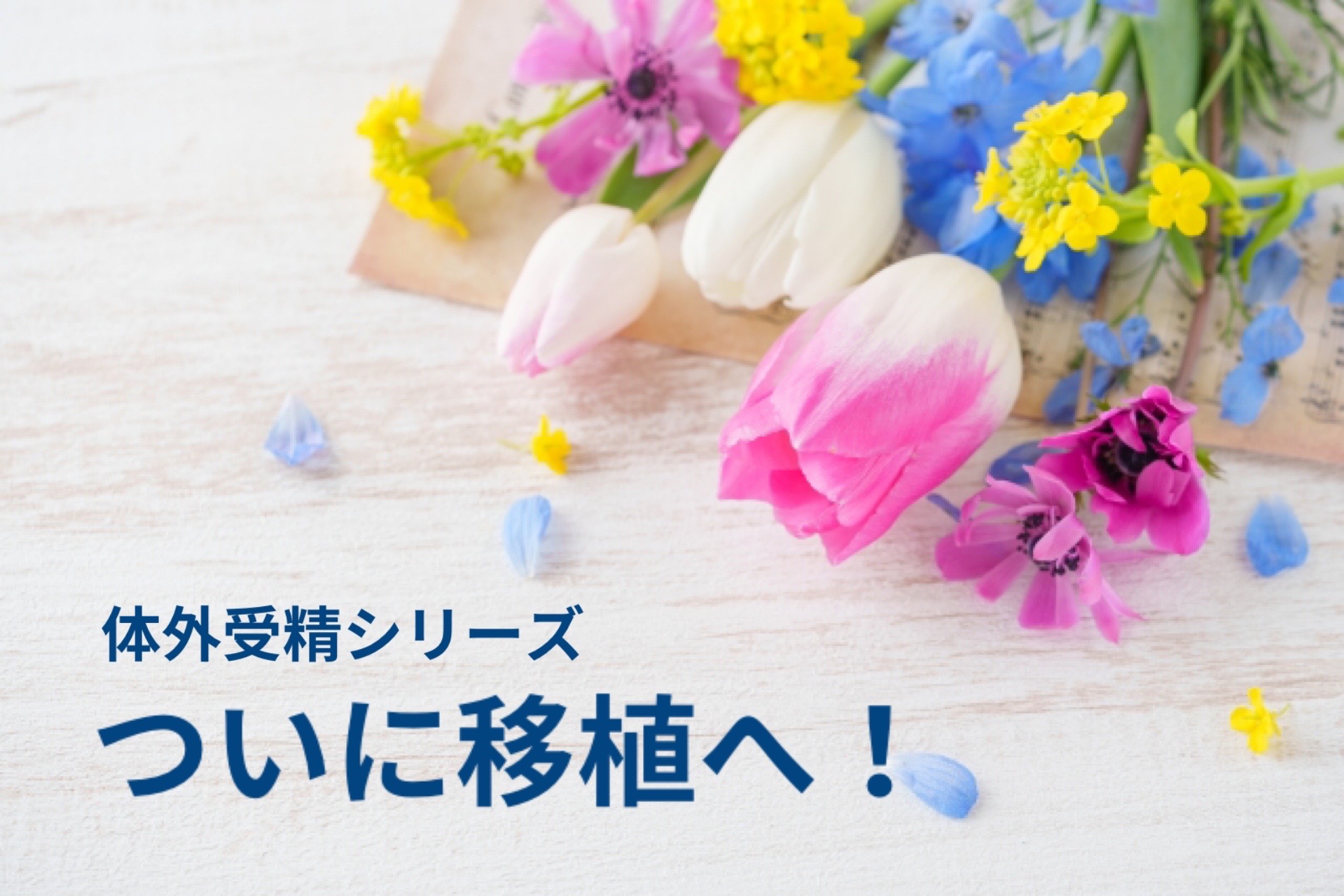 胚盤胞移植当日の流れと気持ち【体外受精】