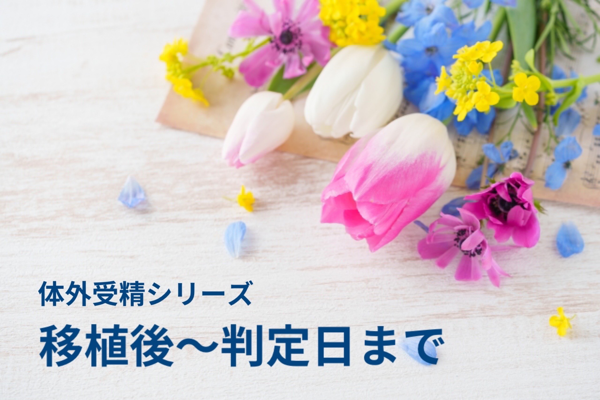 【体外受精】移植の判定日｜フライング陰性から陽性へ、結果を聞くまでの2週間