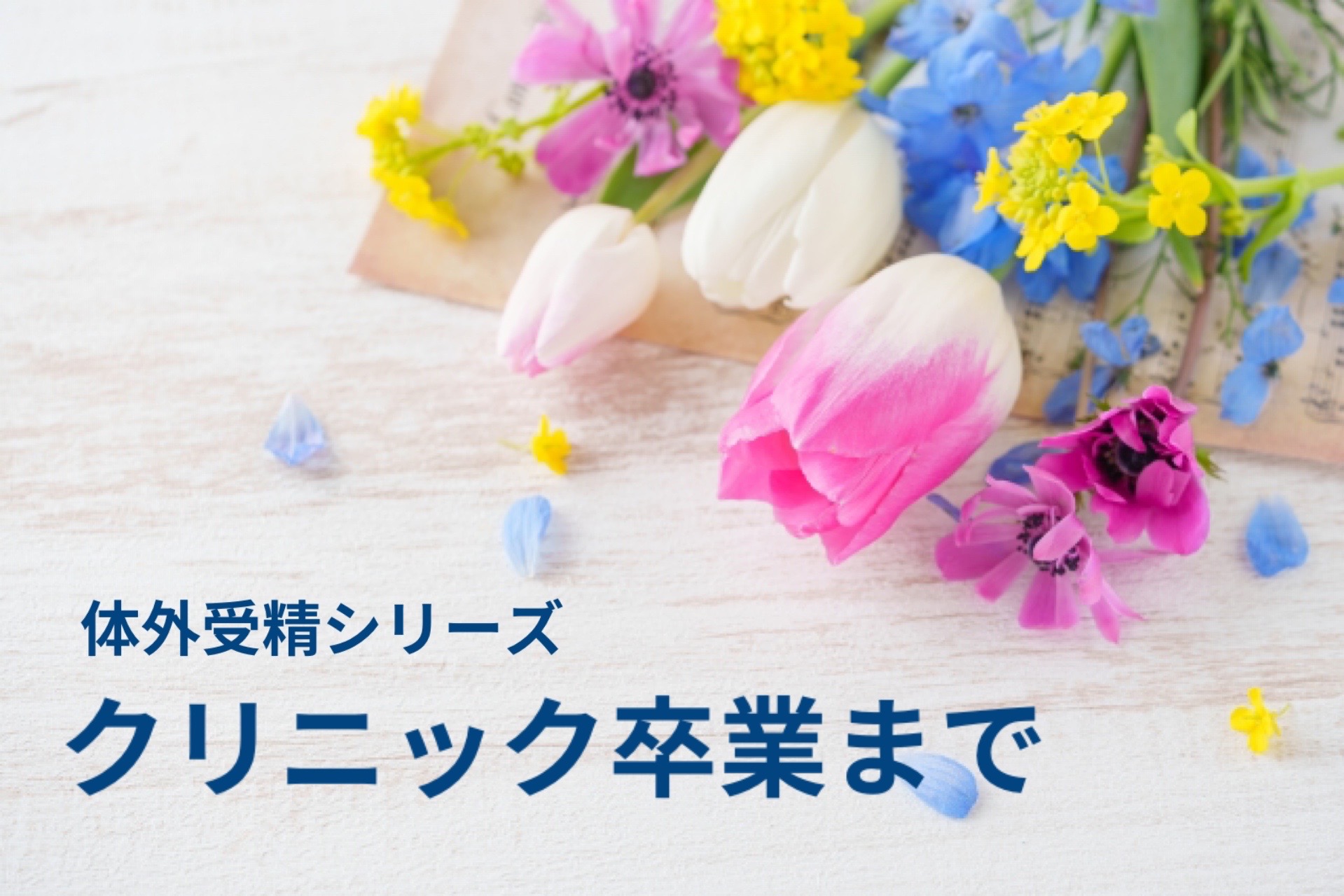 【体験記】体外受精の陽性判定から心拍確認後クリニック卒業まで。怒涛のスケジュールと診察費用の変化
