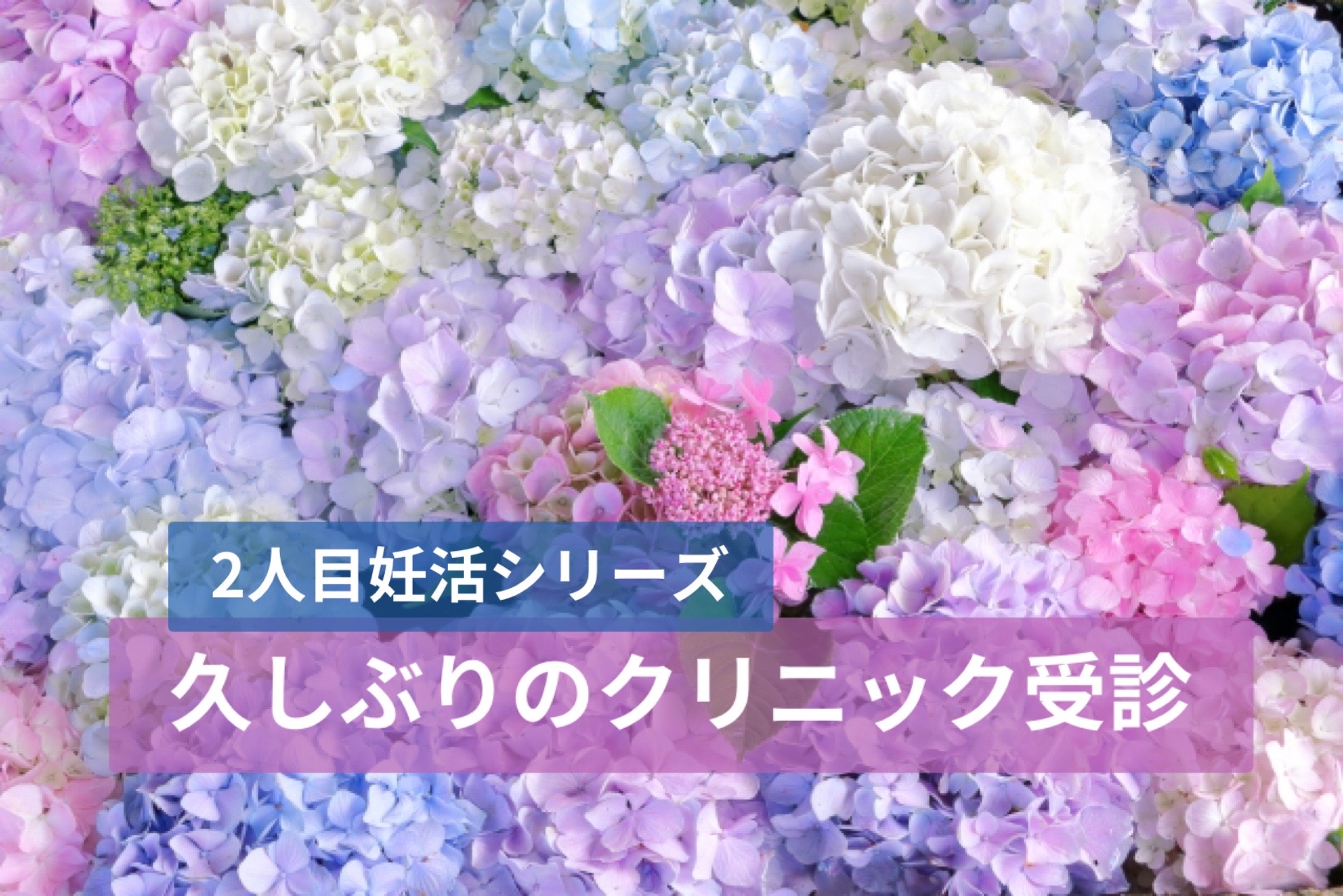 1人目妊活とはこんなに違う！我が子の存在に救われた心境と、子連れ通院のリアル